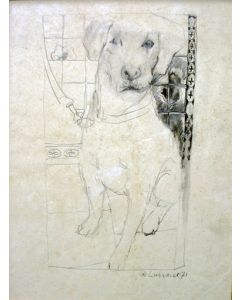 Paul de Lussanet, Hond, tekening, 1971