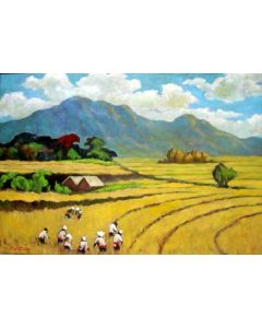 J.L.Geldtmeijer, een rijstveld