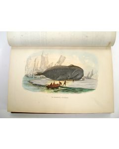 Histoire naturelle de Lacépède comprenant les cétacées, les quadrupèdes ovipares, les serpents et les poissons.(Brussel 1853)