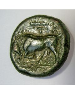 Sicilië, Syracuse, bronzen munt, 3e eeuw v. Chr.